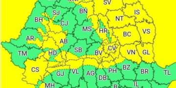 COD GALBEN pentru zona montană