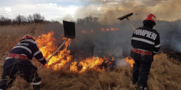 Creștere alarmantă a numărului de incendii de vegetație în Dâmbovița!