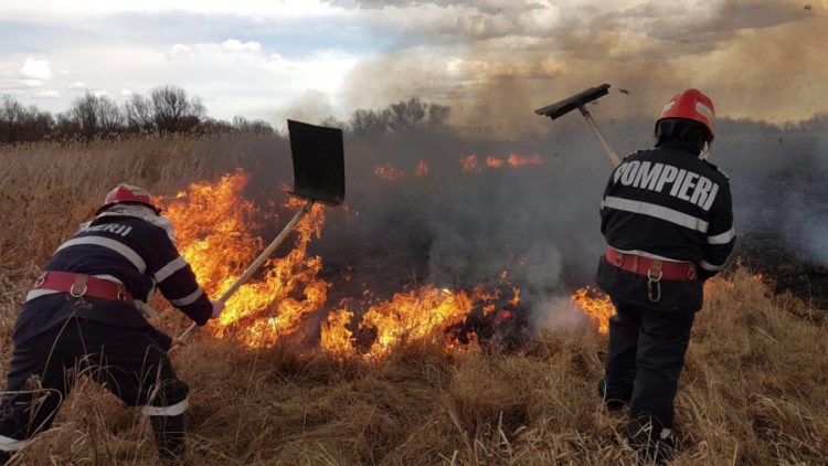 Creștere alarmantă a numărului de incendii de vegetație în Dâmbovița!