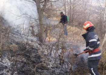 De ore întregi pompierii se luptă cu un incendiu din comuna Buciumeni!