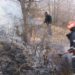 De ore întregi pompierii se luptă cu un incendiu din comuna Buciumeni!