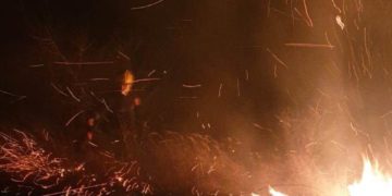 Incediu de vegetație izbucnit în comuna Filipeștii de Pădure!