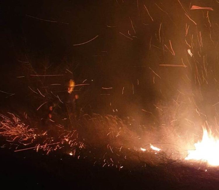 Incediu de vegetație izbucnit în comuna Filipeștii de Pădure!