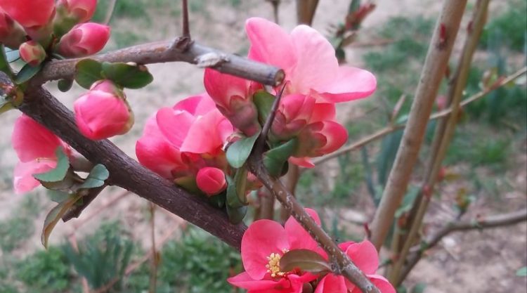 Vremea este frumoasă și temperaturile cresc!