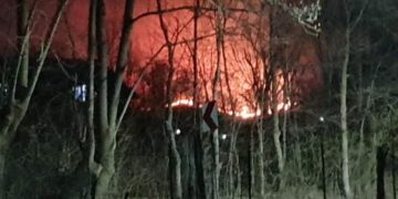 Incendiu de vegetație în zona Mănăstirii Dealu!