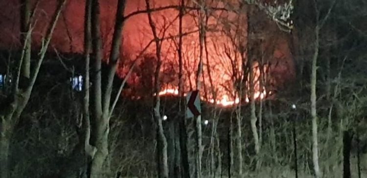 Incendiu de vegetație în zona Mănăstirii Dealu!