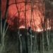 Incendiu de vegetație în zona Mănăstirii Dealu!