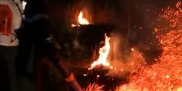 Incendiu de vegetație în comuna Ulmi!