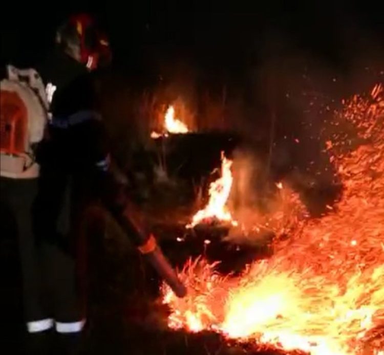 Incendiu de vegetație în comuna Ulmi!