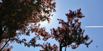 Vremea se încălzește treptat!