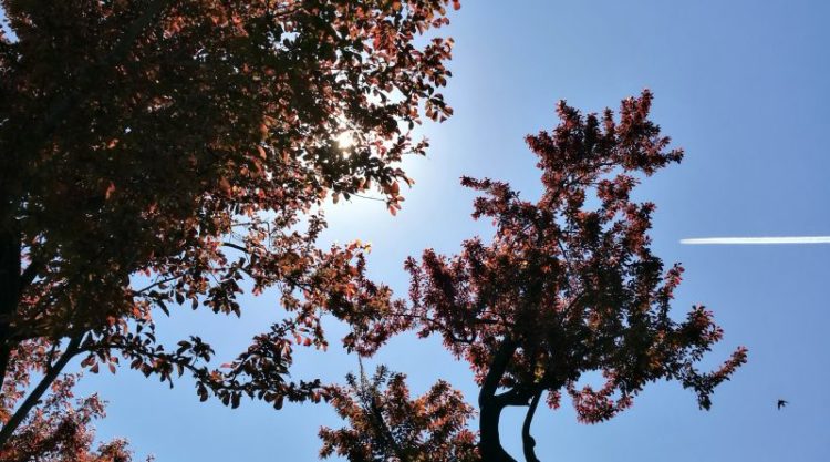 Vremea se încălzește treptat!