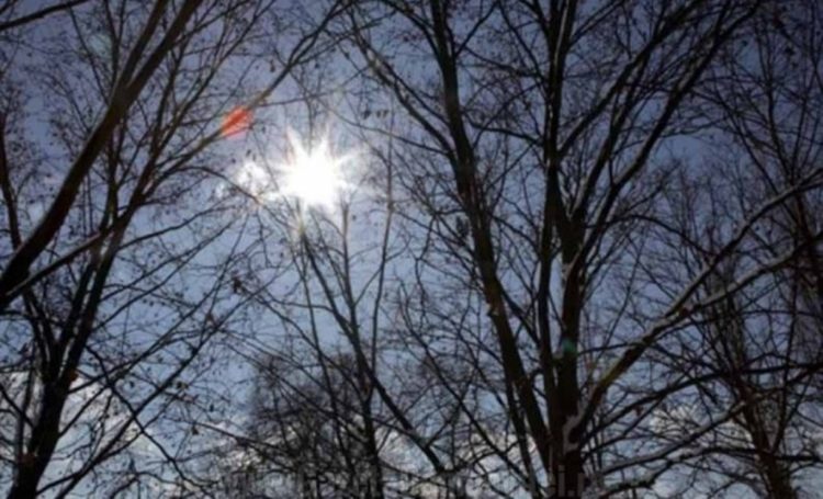 Vremea se încălzește treptat!