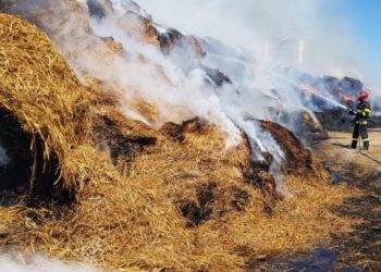 Pompierii s-au luptat toată noaptea cu un incendiu produs la o firmă de lactate!