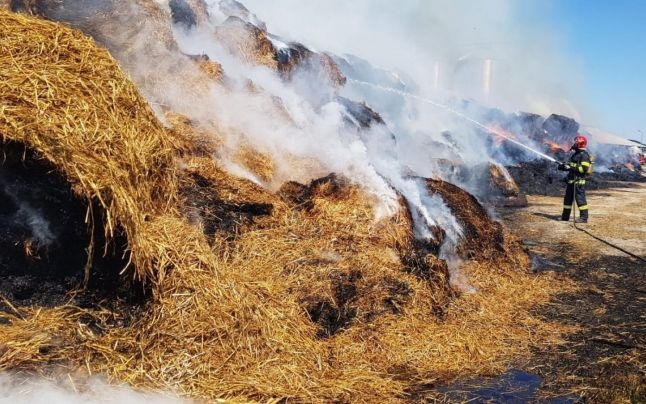 Pompierii s-au luptat toată noaptea cu un incendiu produs la o firmă de lactate!