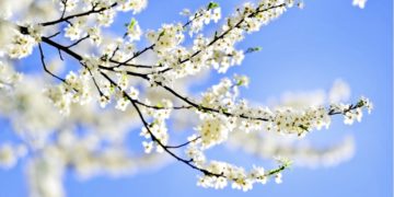 Vremea va fi caldă!