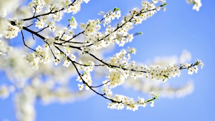 Vremea va fi caldă!