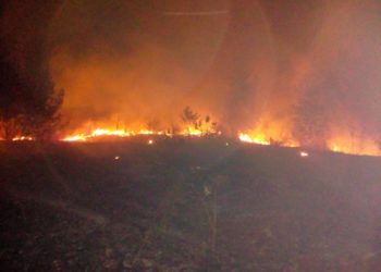 Pompierii dâmbovițeni au stins peste 40 de incendii de vegetație într-o săptămână!