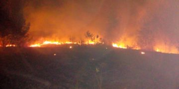 Pompierii dâmbovițeni au stins peste 40 de incendii de vegetație într-o săptămână!
