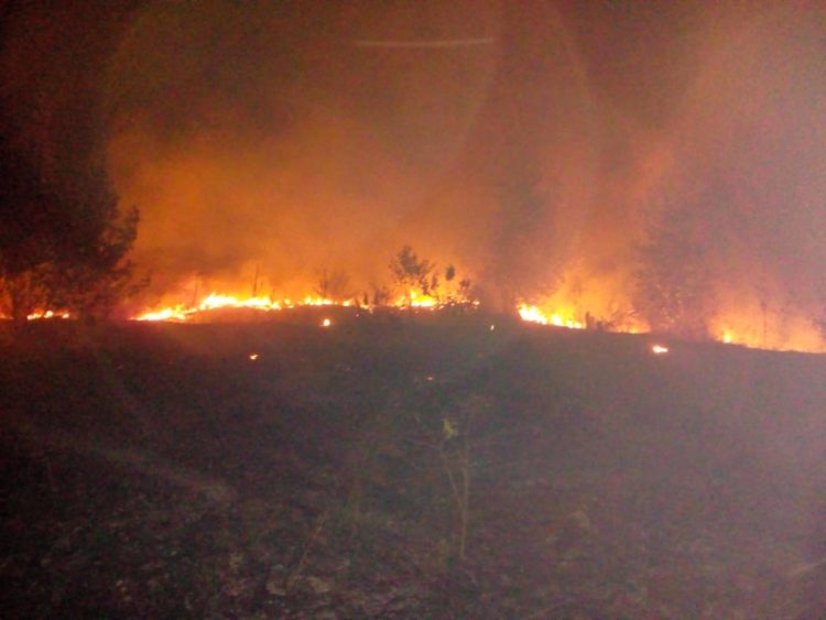 Pompierii dâmbovițeni au stins peste 40 de incendii de vegetație într-o săptămână!