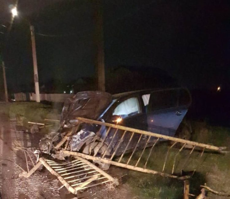 Accident rutier provocat de un mistreț!