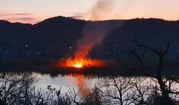 Incendiu de vegetație la Pucioasa!