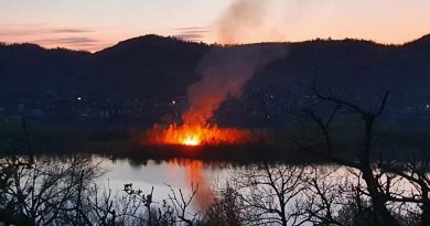 Incendiu de vegetație la Pucioasa!