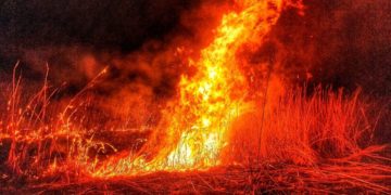 Incendii de vegetaţie în şapte localităţi din Dâmboviţa!