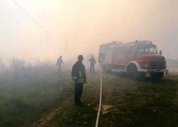 Incendiu de vegetație în localitatea Ocnița!