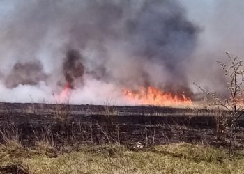 Incendiu în zona Titu-Hagioaica!