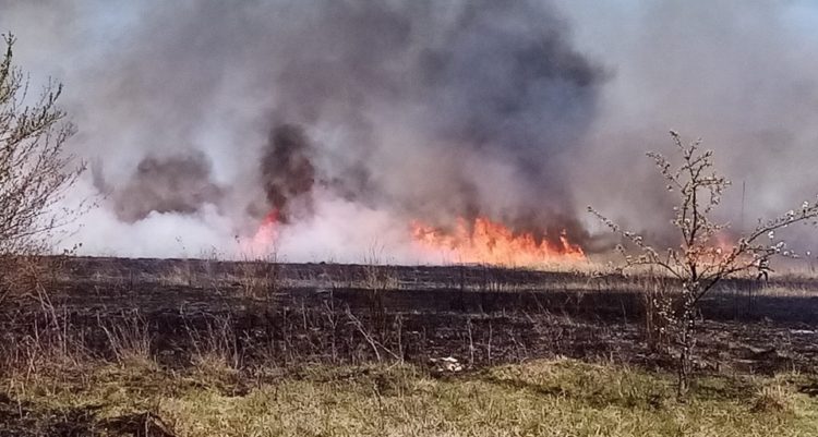 Incendiu în zona Titu-Hagioaica!