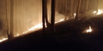 Incendiu devastator comuna Iedera!