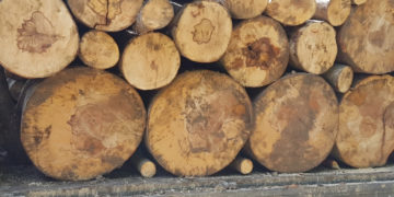 Polițiștii au acționat pentru prevenirea și combaterea delictelor silvice!