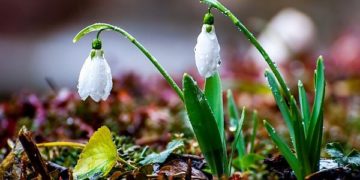 Vremea se încălzește treptat!