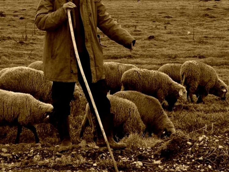 Un cioban din Brănești a fost găsit mort în zona Tătaru din Munții Bucegi!