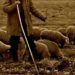 Un cioban din Brănești a fost găsit mort în zona Tătaru din Munții Bucegi!
