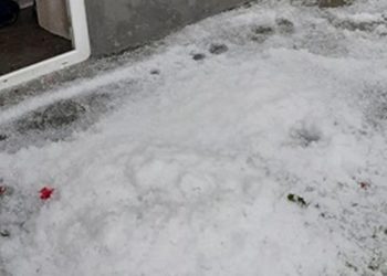 Grindina a făcut prăpăd în comuna Pucheni!
