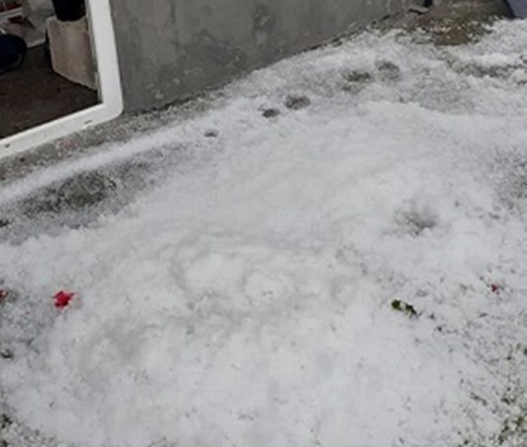 Grindina a făcut prăpăd în comuna Pucheni!