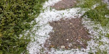 Grindina a lovit puternic comuna Șotânga!