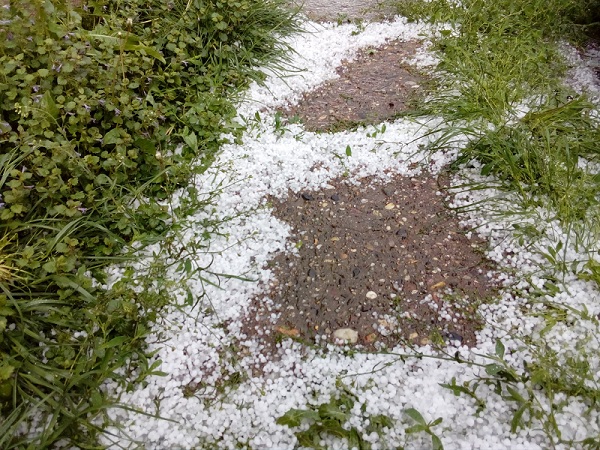 Grindina a lovit puternic comuna Șotânga!