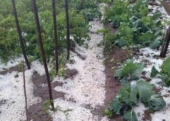 Grindina a făcut din nou ravagii pe Valea Dâmboviței!