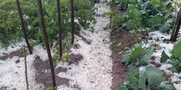 Grindina a făcut din nou ravagii pe Valea Dâmboviței!