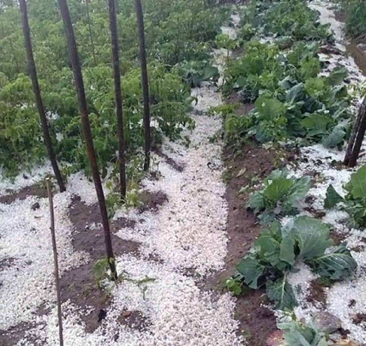 Grindina a făcut din nou ravagii pe Valea Dâmboviței!