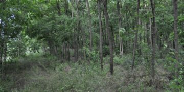 15 iunie 2020 este data finală de depunere a cererilor de sprijin!