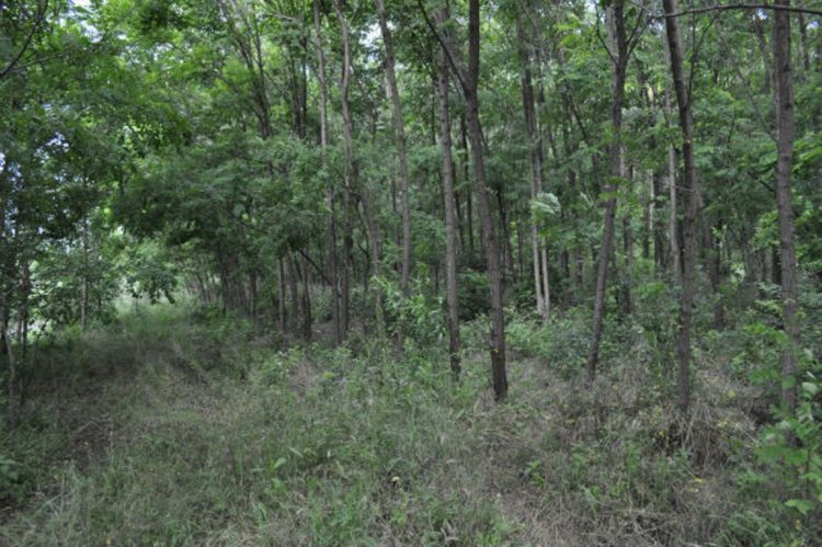 15 iunie 2020 este data finală de depunere a cererilor de sprijin!