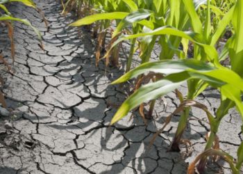 Secetă în județul Dâmbovița!