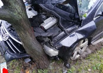 Accident rutier în comuna Mogoșani!