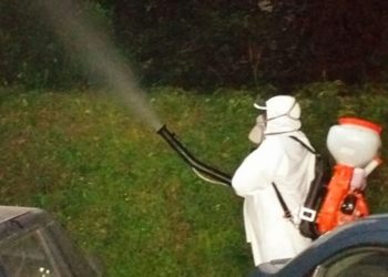 O nouă dezinsecție la Târgoviște!