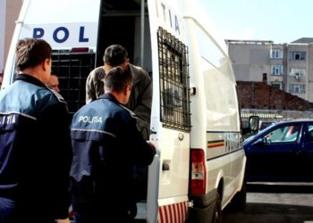 Doi foști pădurari au fost reținuți pentru fals intelectual și uz de fals!