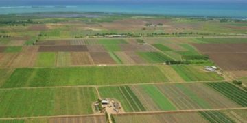 23.061 de fermieri dâmboviţeni au solicitat sprijin prin cererea unică!