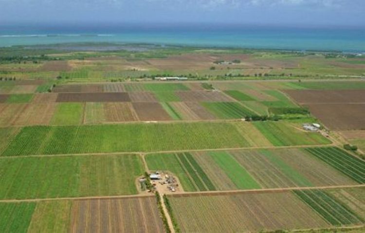 23.061 de fermieri dâmboviţeni au solicitat sprijin prin cererea unică!